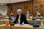 Cllr Pauline Jorgensen speaking in the council chamber