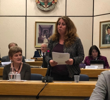 Cllr Alison Swaddle Debates 